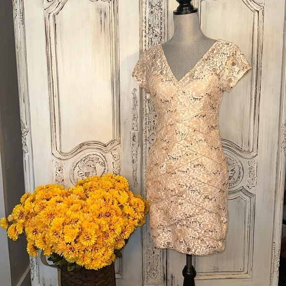 Scarlett Tan Lace and Sequins Short Sleeve Special Occassion Party Dress Size 6 - Picture 1 of 11